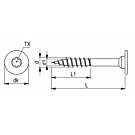 Meubel montageschroeven deeldraad 4x30 vernikkeld RAL 9005 zwart torx 500 stuks Meubel montageschroeven deeldraad 4x30 vernikkeld RAL 9005 zwart torx 500 stuks