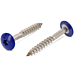 Schroeven voor Trespa® RVS A2 4,8x25 RAL 5002 Ultramarijnblauw 100 stuks