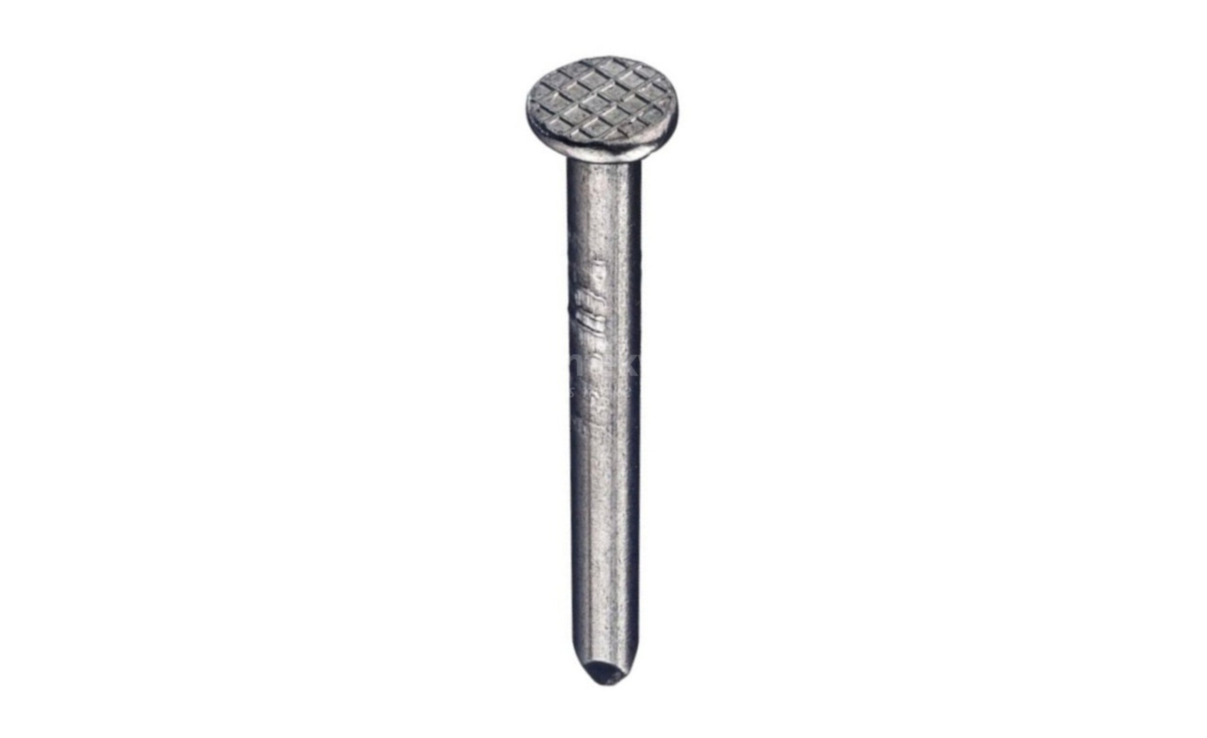 Ankernagels 5x55 verzinkt 250 gram