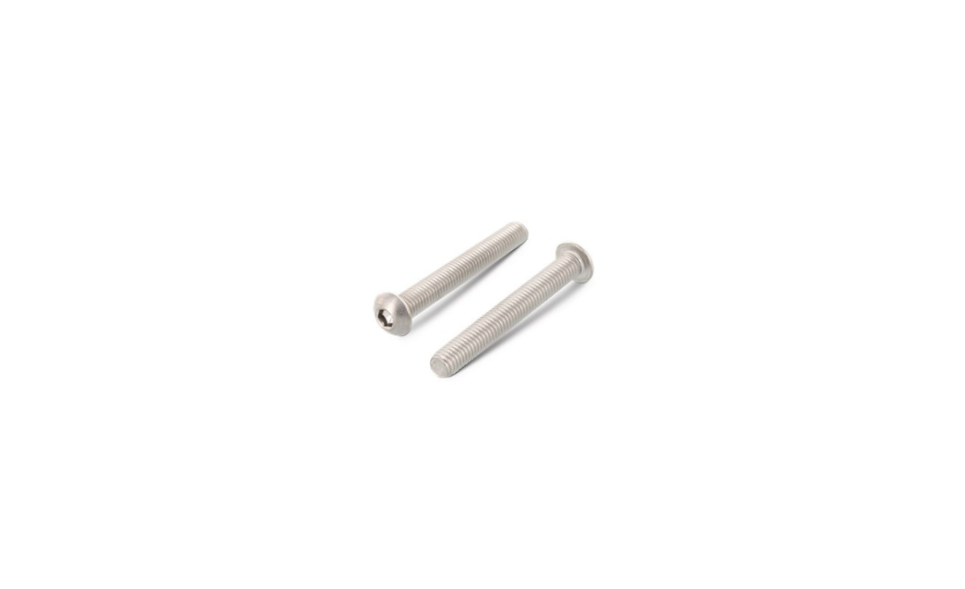 Inbusbouten laagbolkop ISO 7380 RVS A2 M6x20 - 100 stuks 